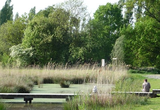 ecological restoration landscape architecture