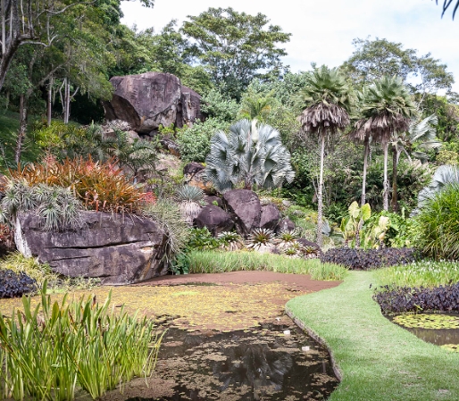 burle marx landscape