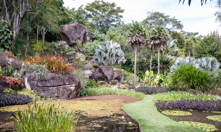 landscape architect roberto burle marx