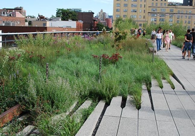 landscape architect highline