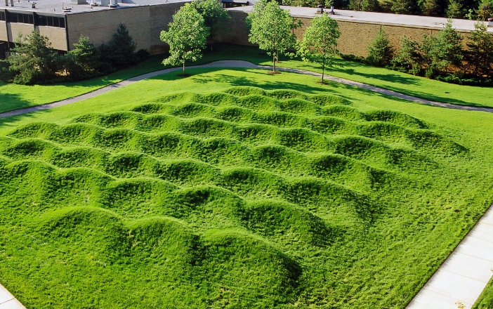 maya lin landscape architecture