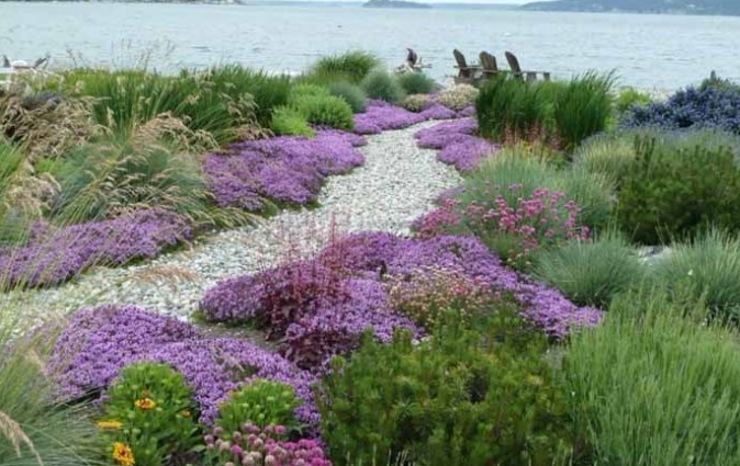 plant landscape architects