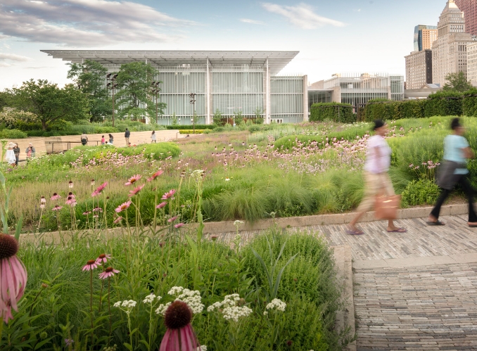 millennium park landscape architect