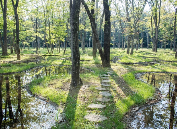 junya ishigami landscape